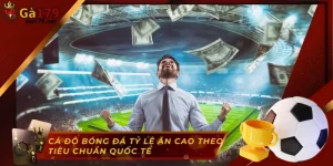 cá độ bóng đá tỉ lệ ăn cao